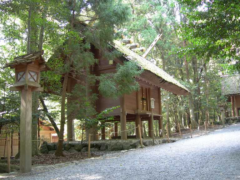 屋根に育つ小さな森|内宮の萱葺き屋根と太宰府天満宮の仮殿